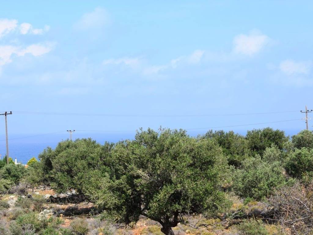 Plot - Grekodom 34006|517024