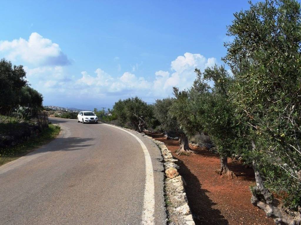 Plot - Grekodom 34006|517028