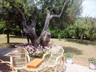 Maisonette - Grekodom 3688|58106