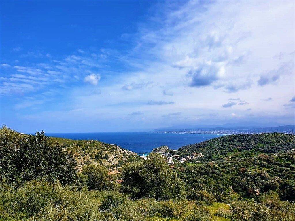 Plot - Grekodom 47008|681862