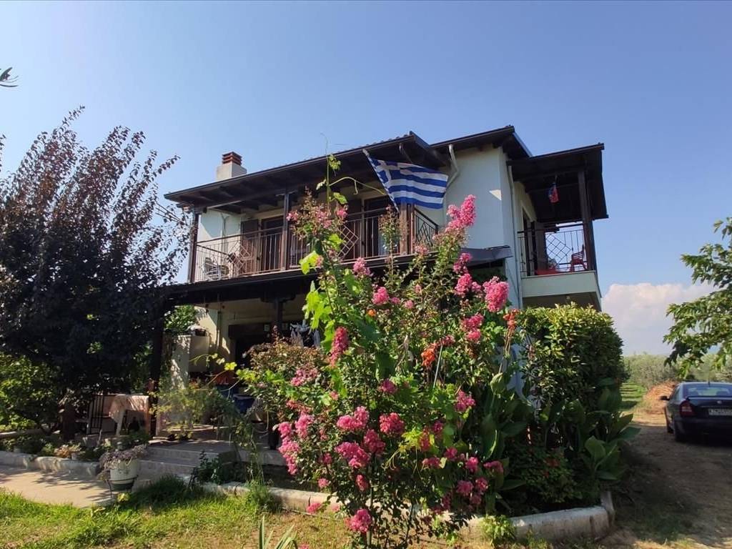 Detached - Grekodom 45229|659590