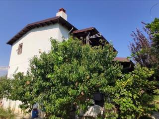 Detached - Grekodom 45229|659594