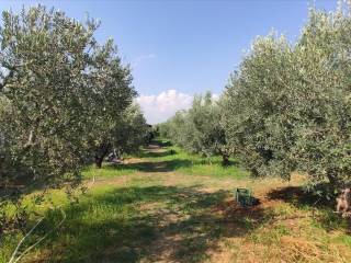 Detached - Grekodom 45229|659595