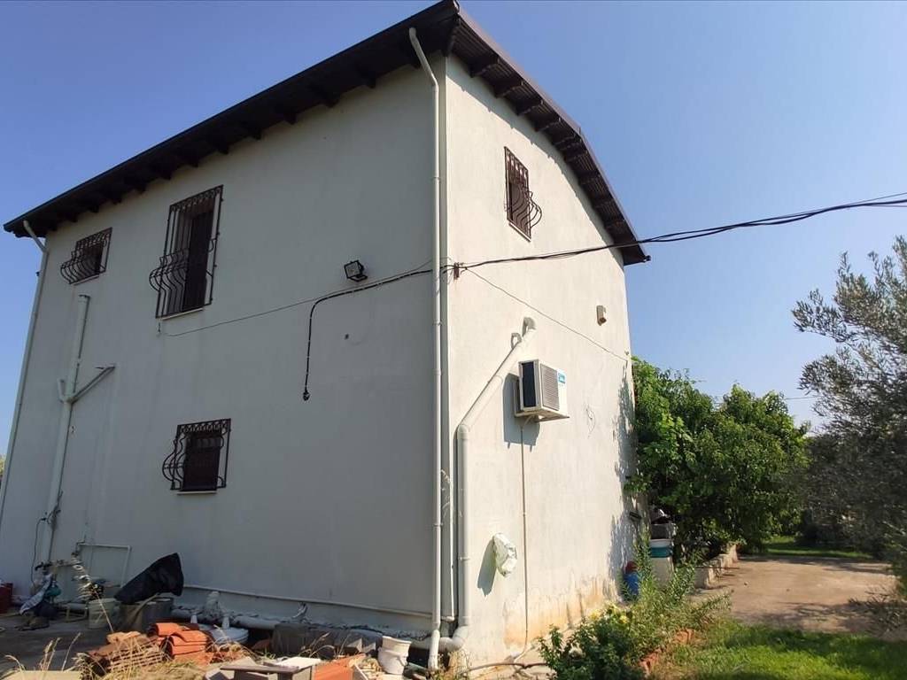 Detached - Grekodom 45229|659596