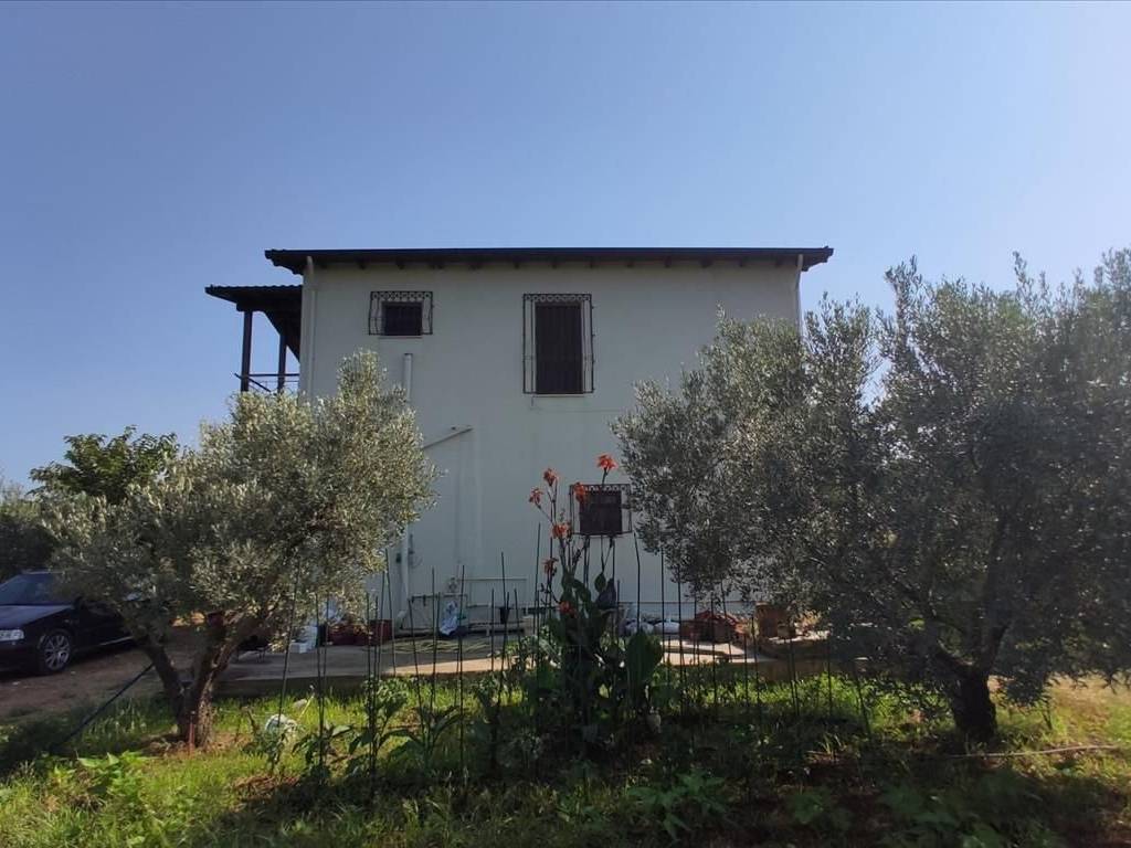 Detached - Grekodom 45229|659597