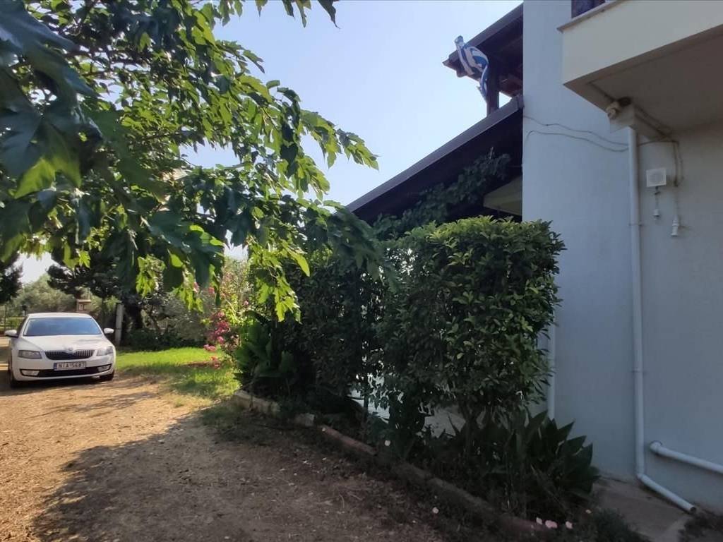 Detached - Grekodom 45229|659600