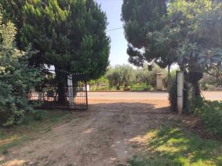 Detached - Grekodom 45229|659603