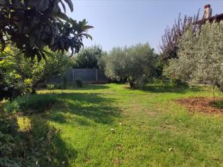 Detached - Grekodom 45229|659604