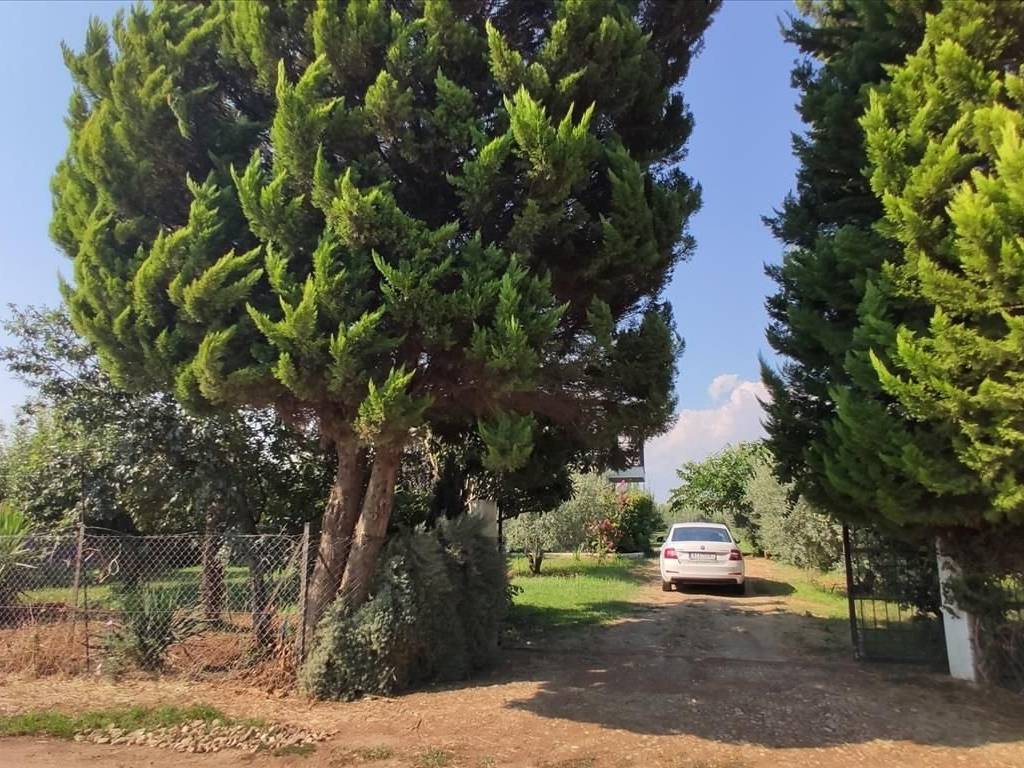 Detached - Grekodom 45229|659605