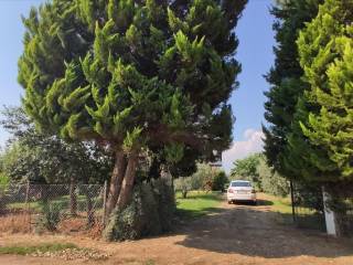 Detached - Grekodom 45229|659605