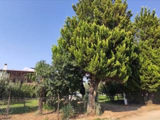 Detached - Grekodom 45229|659606