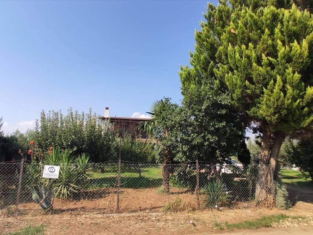 Detached - Grekodom 45229|659607