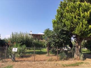 Detached - Grekodom 45229|659607