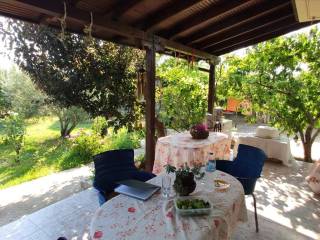 Detached - Grekodom 45229|659609