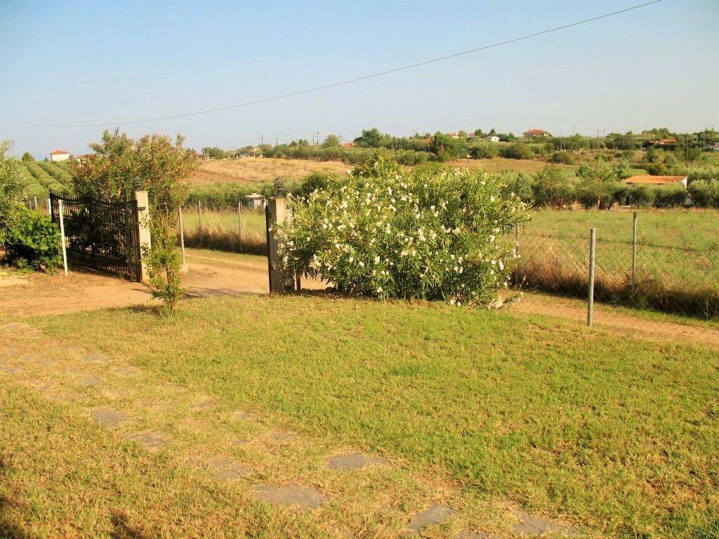 Maisonette - Grekodom 33360|508079