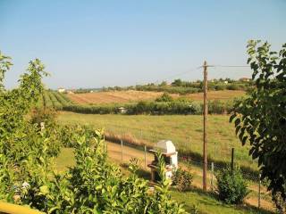 Maisonette - Grekodom 33360|508080