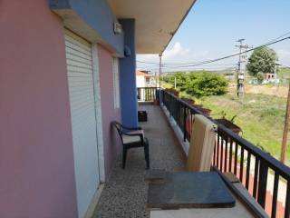 Detached - Grekodom 22352|287983