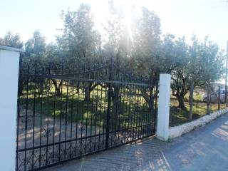 Plot - Grekodom 8162|100982