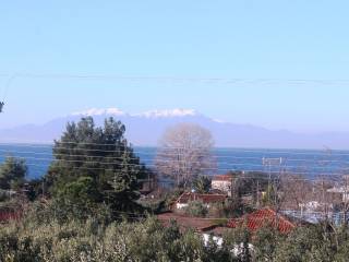 Plot - Grekodom 8162|100958