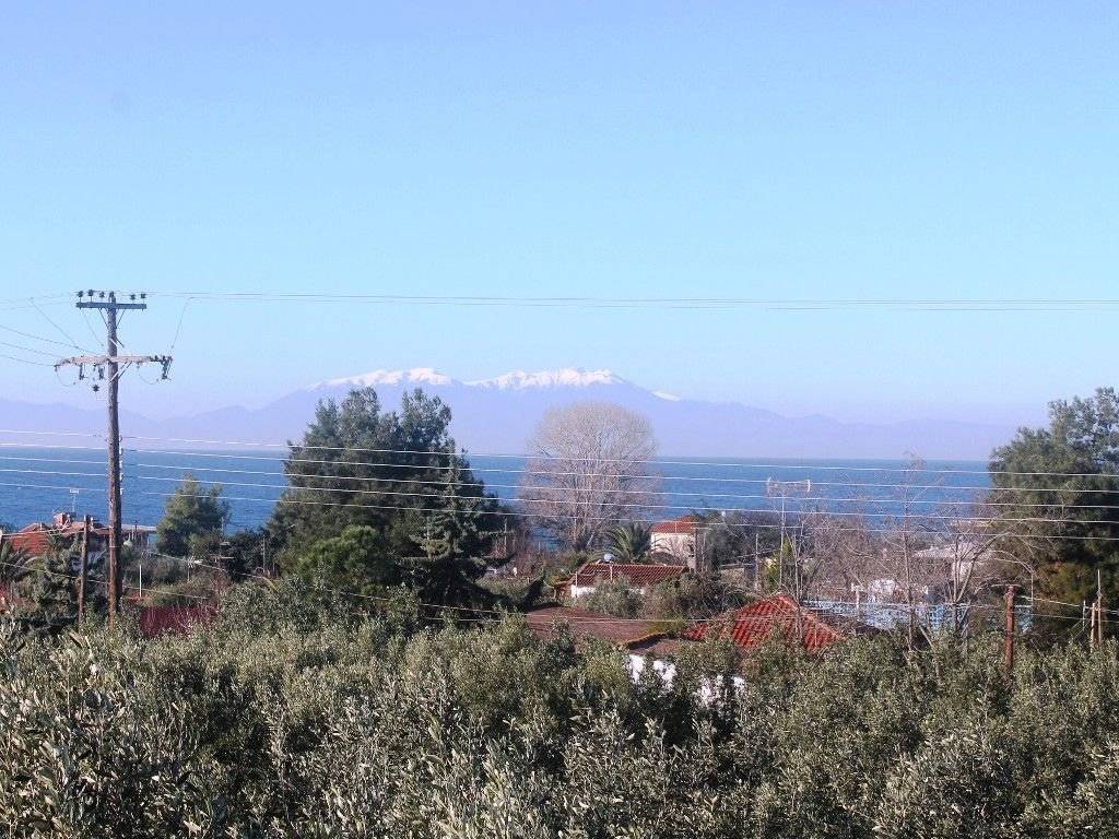 Plot - Grekodom 8162|100959