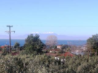 Plot - Grekodom 8162|100959