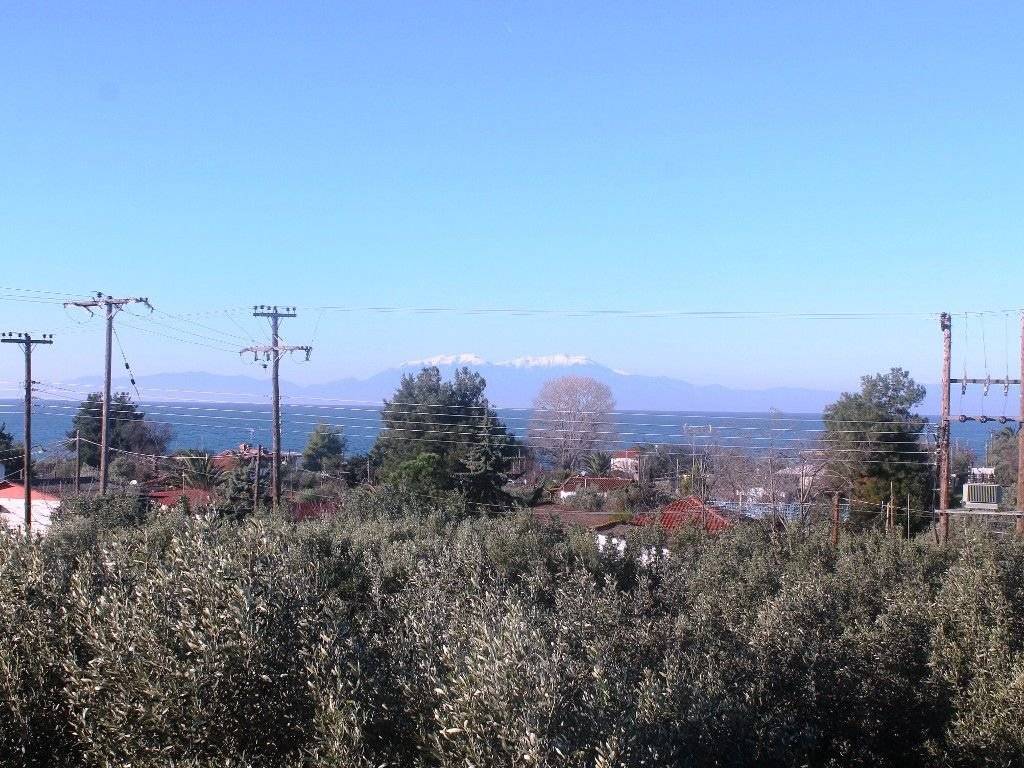 Plot - Grekodom 8162|100960