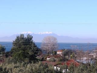 Plot - Grekodom 8162|100961