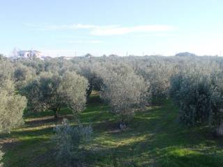 Plot - Grekodom 8162|100962