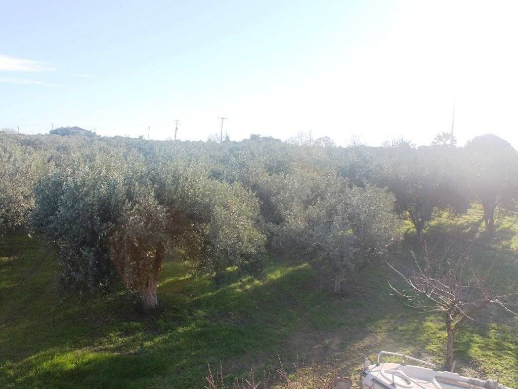 Plot - Grekodom 8162|100963