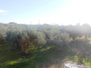 Plot - Grekodom 8162|100963