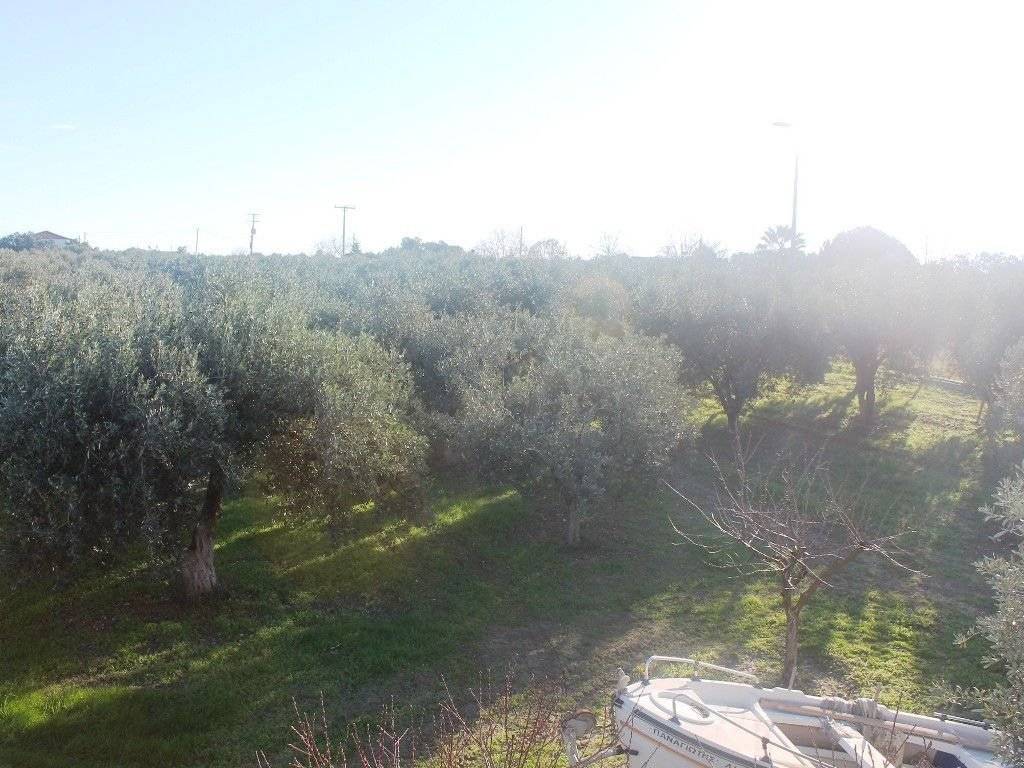 Plot - Grekodom 8162|100964