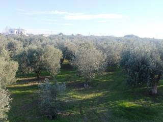 Plot - Grekodom 8162|100965