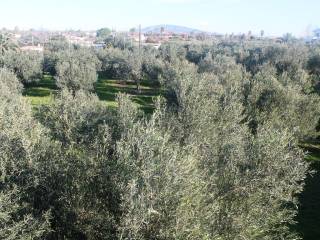 Plot - Grekodom 8162|100966