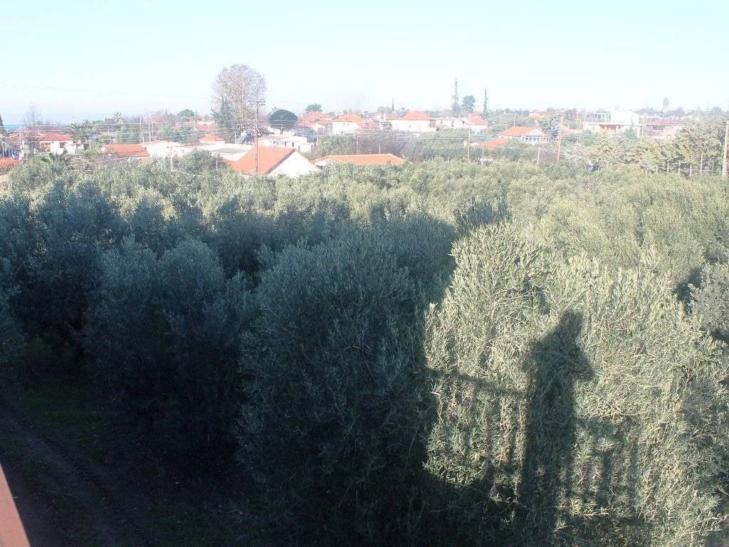 Plot - Grekodom 8162|100967