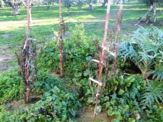 Plot - Grekodom 8162|100977