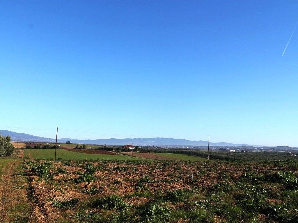 Plot - Grekodom 8160|100931