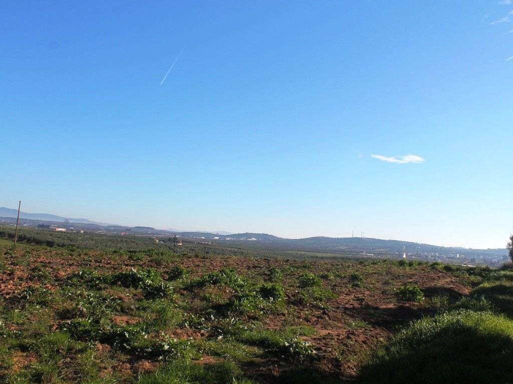 Plot - Grekodom 8160|100933