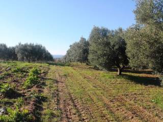 Plot - Grekodom 8160|100934