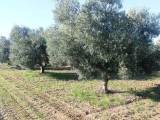 Plot - Grekodom 8160|100935