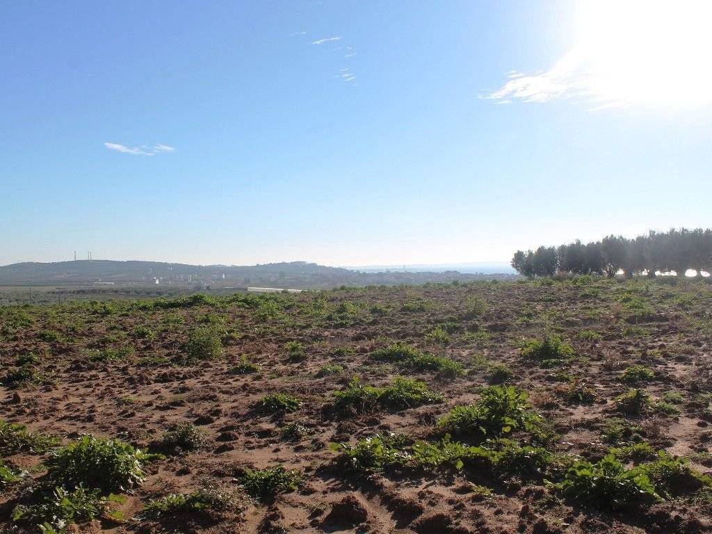 Plot - Grekodom 8160|100937