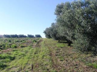 Plot - Grekodom 8160|100940