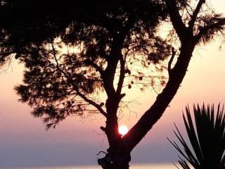 Detached - Grekodom 52932|783532