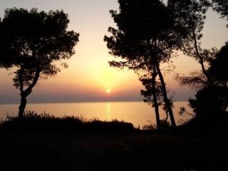 Detached - Grekodom 52932|783540