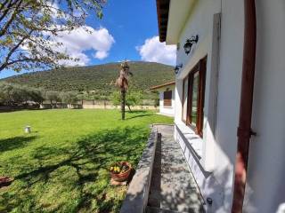 Detached - Grekodom 53211|780074