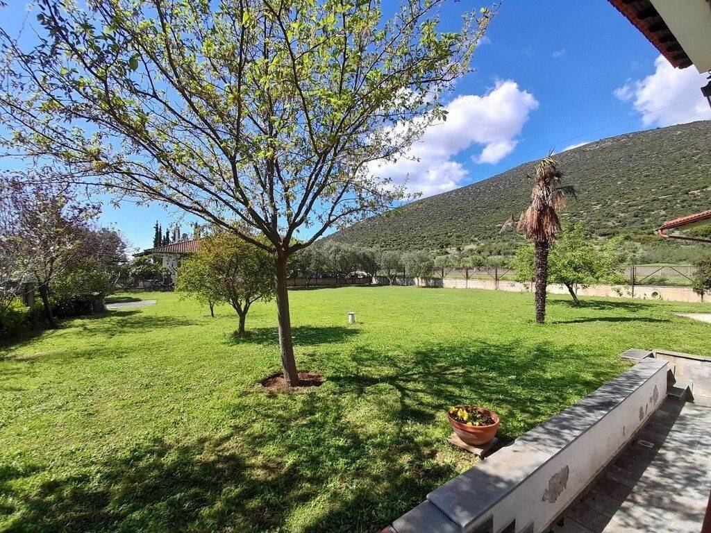 Detached - Grekodom 53211|780089