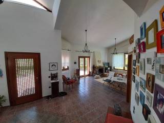 Detached - Grekodom 53211|780065