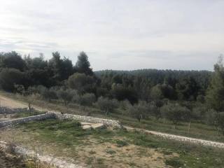 Villa - Grekodom 53204|853079