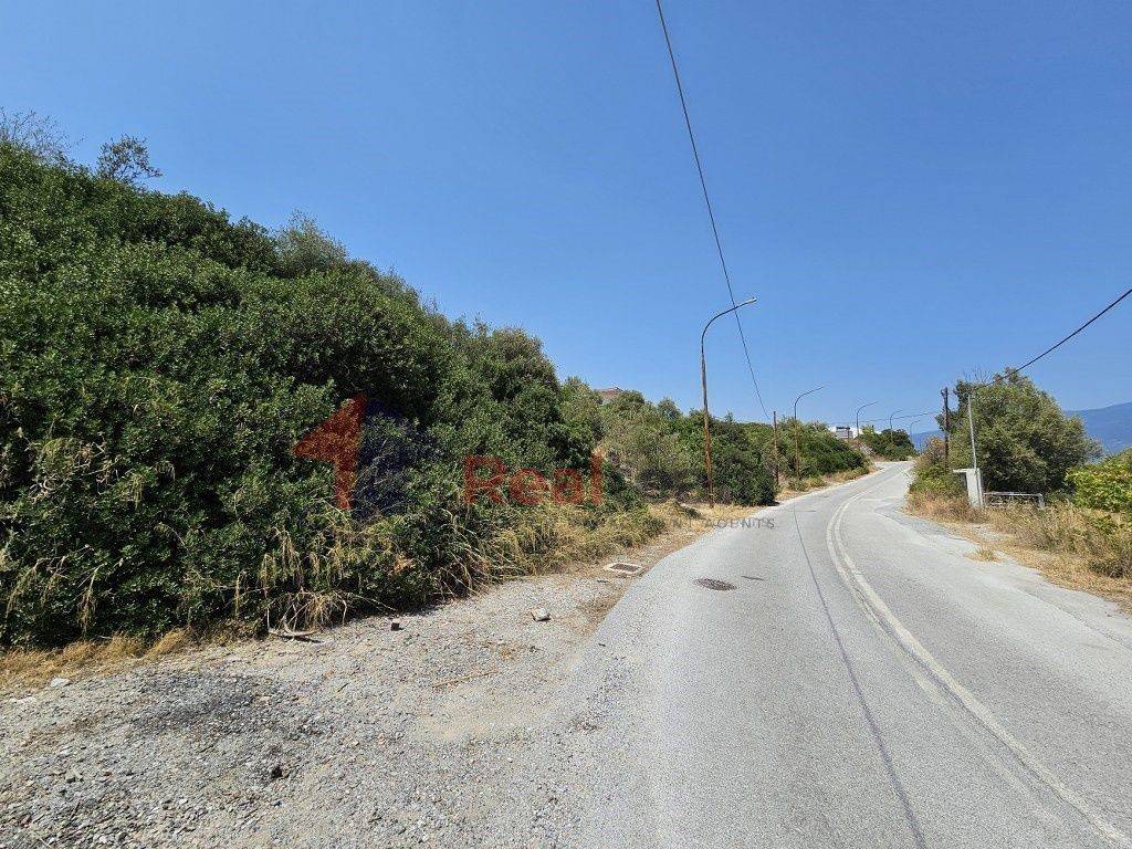 Εξωτερικοι χώροι