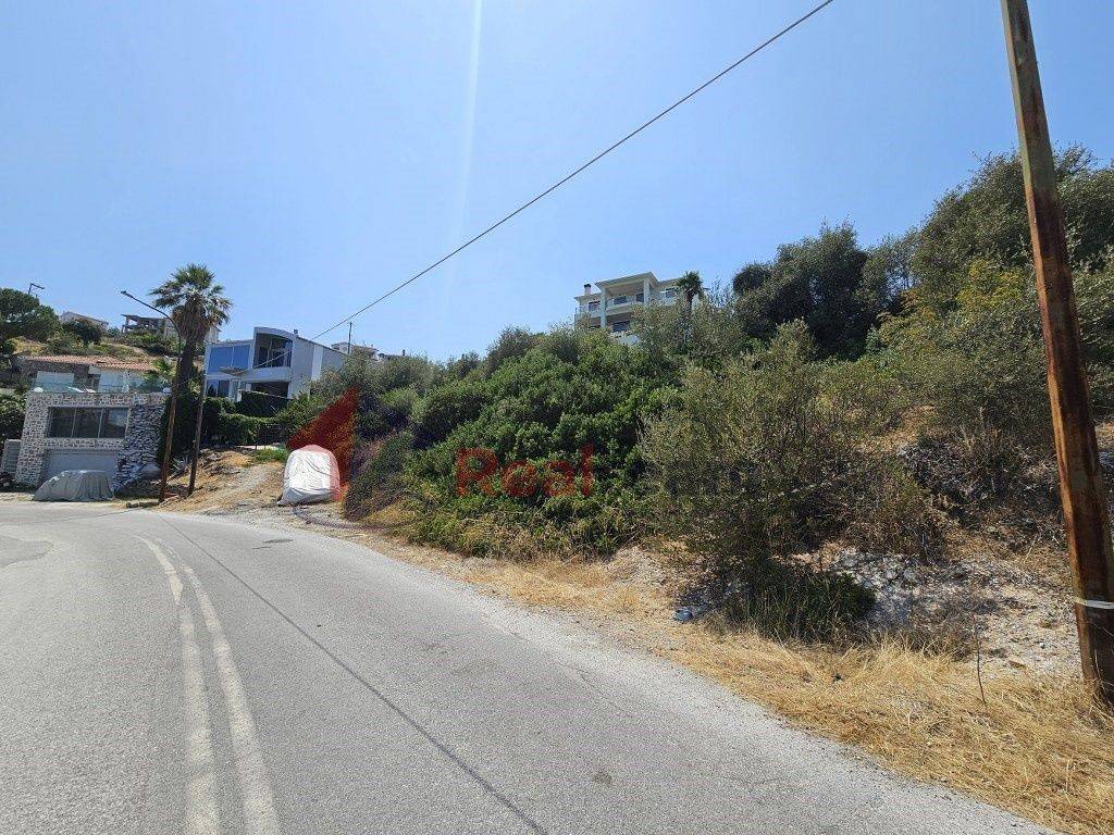 Εξωτερικοι χώροι