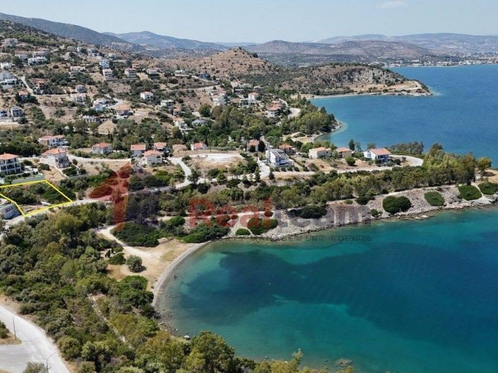 Εξωτερικοι χώροι